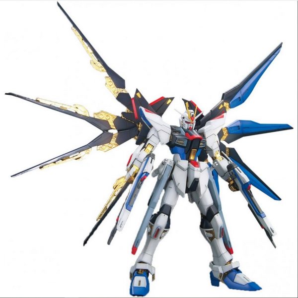 hcm pro strike freedom