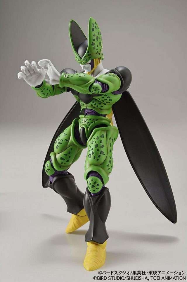 cell figure rise
