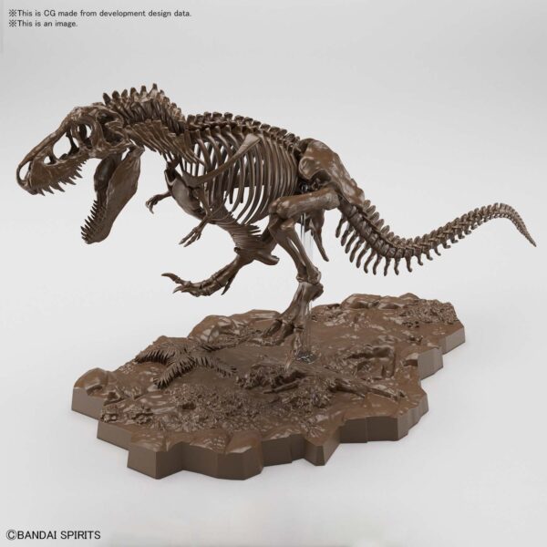 tyrannosaurus rex skeleton for sale