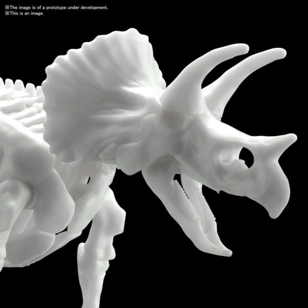 Limex Skeleton Triceratops