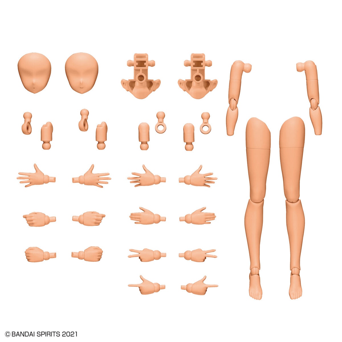 Arm and Leg Parts Color C